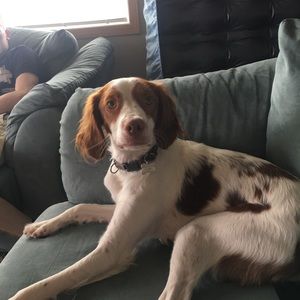 Meet your Posher, Bobby